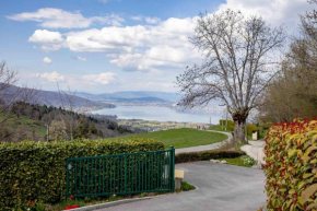 Entre lac et montagne, chaleureuse maison 3 pièces avec très belle vue lac d'Annecy. Terrasse, jardin, parking, cheminée, barbecue ….